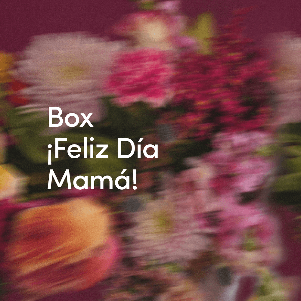 ¡Feliz día Mamá!